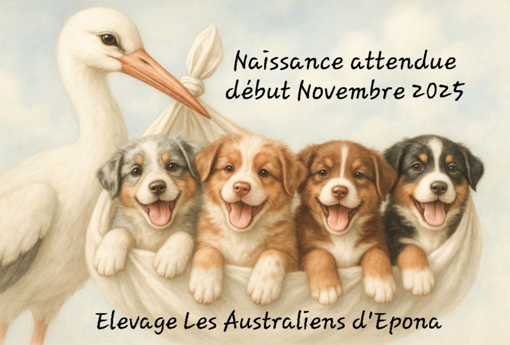 Des bébés pour la fin de l'année !