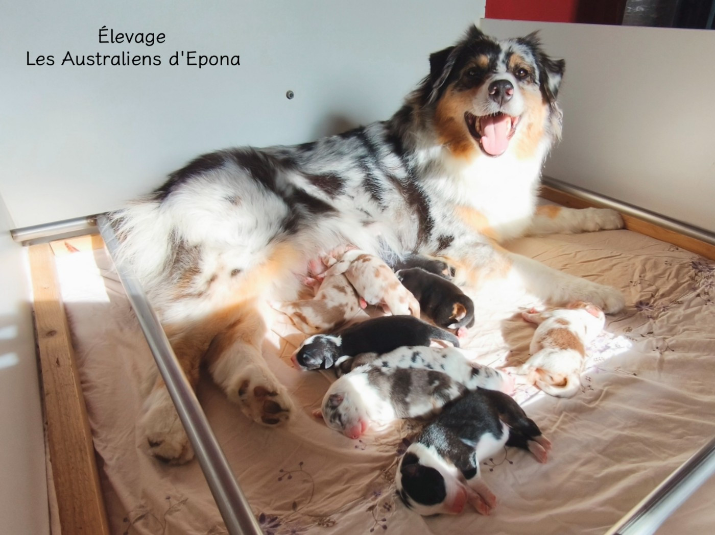 Nos derniers bébés de l'année sont arrivés !