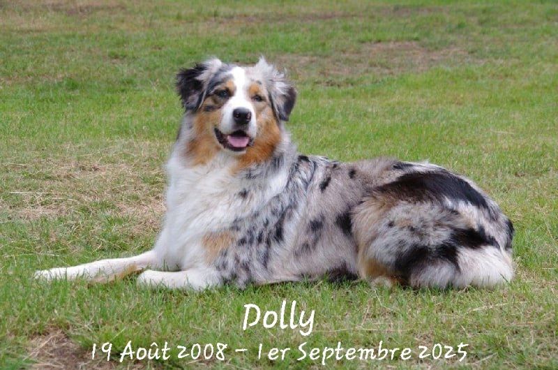 Notre Dolly nous a quitté 