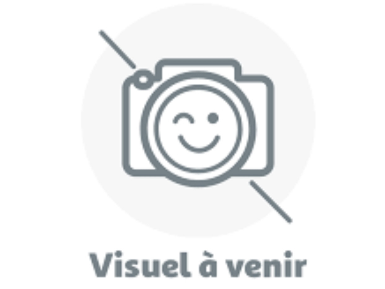 Des Australiens d'Epona - Chiots disponibles - Berger Australien